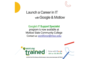 Free Google IT Professional Certificate Training